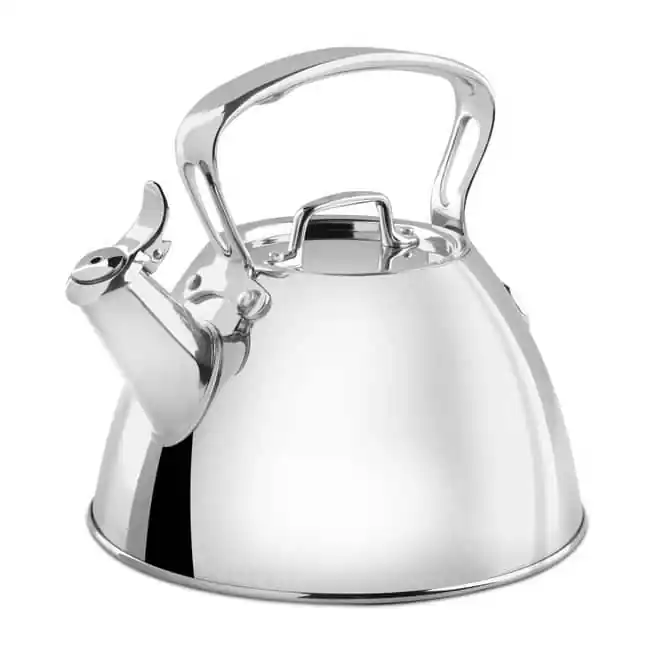 Stainless steel kettle with a handle and spout